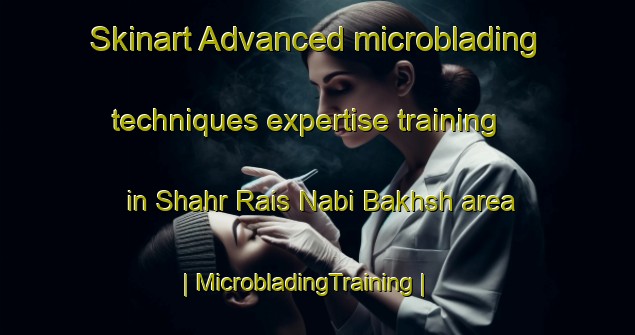 Skinart Advanced microblading techniques expertise training in Shahr Rais Nabi Bakhsh area | MicrobladingTraining | MicrobladingClasses | SkinartTraining-Pakistan